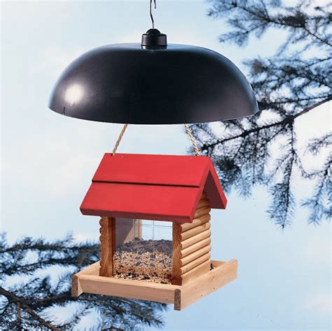 7 Top-Rated Bird Feeder Squirrel Baffles - Birds and Blooms