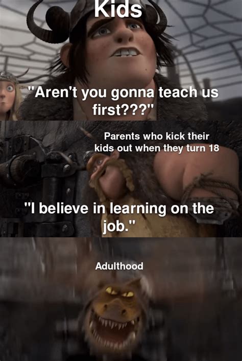 More HTTYD memes, pls : r/memes