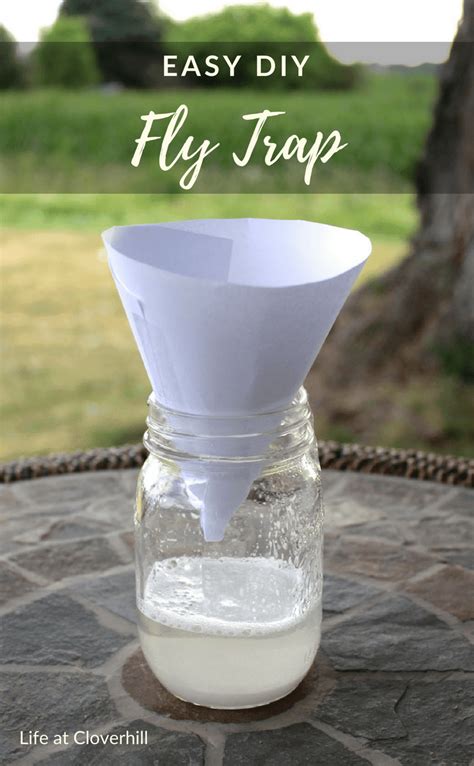 Easy DIY Fly Trap | Diy fly trap, Fly repellant diy, Homemade fly traps