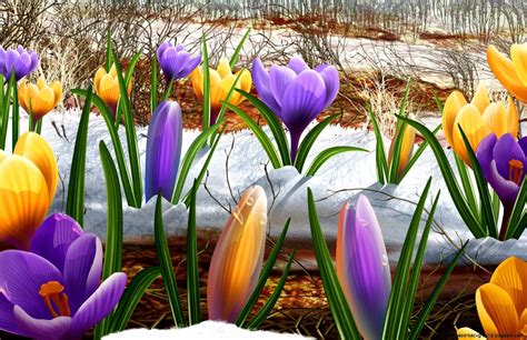 Spring Flowers Screensavers | Best Wallpaper Background