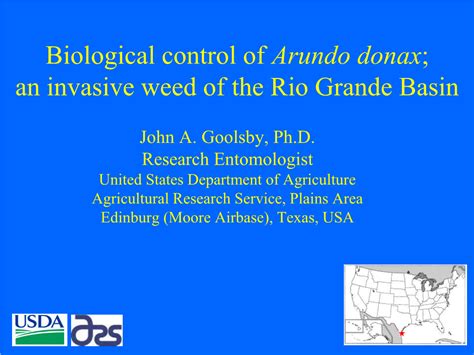 Biological Control of Arundo Donax; an Invasive Weed of the Rio Grande Basin - DocsLib