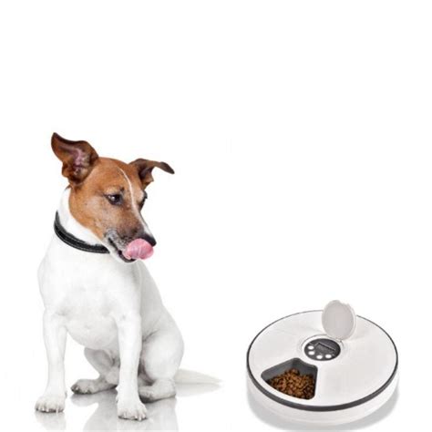 Six Meal Automatic Dog Feeder with Digital Timer | Petiboo