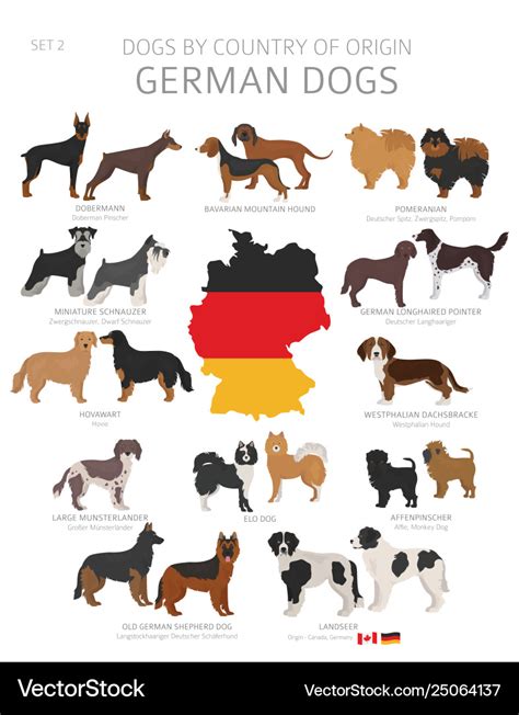 Medium Dogs Breeds Svg Png Jpg 1620'' Dog Breeds Medium,, 50% OFF