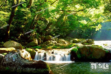 Kikuchi Gorge, Kumamoto Prefecture, Japan, Stock Photo, Picture And Royalty Free Image. Pic. HNA ...