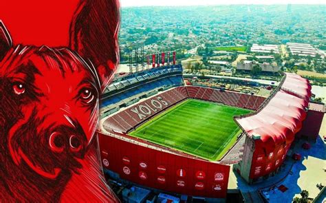 El Hermoso. La historia del perro que aparece en el escudo de Xolos ...