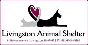 Livingston Animal Shelter | Livingston Township, NJ