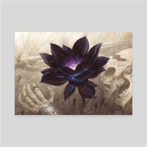 Black Lotus, an art canvas by Chris Rahn - INPRNT