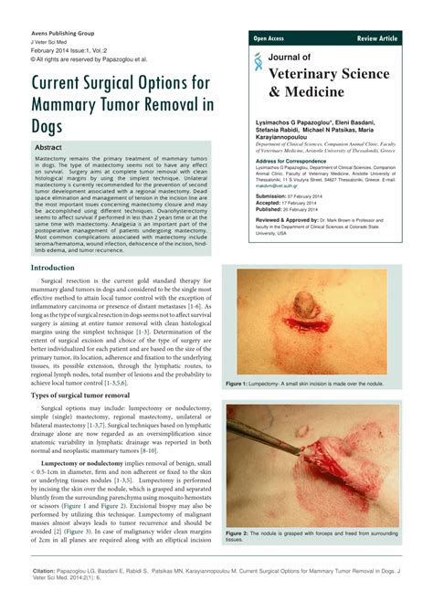 (PDF) Current Surgical Options for Mammary Tumor Removal in Dogs