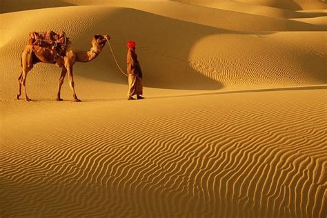 2023 Cholistan Desert Camping provided by Sassy Holidays Ltd