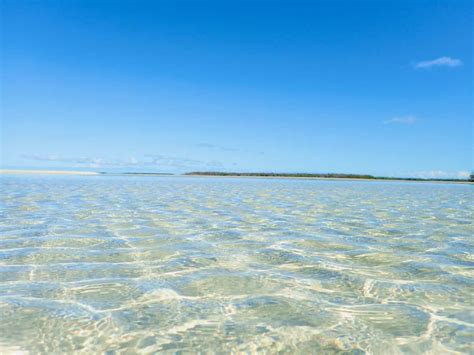 Sandbar Photos - Sandbar Charters