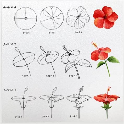 36 Super Easy How to Draw Tutorials - Beautiful Dawn Designs Flower Drawing Tutorials, Flower ...