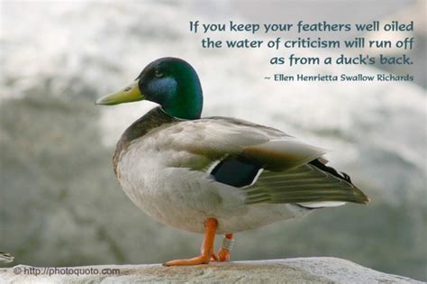 Famous quotes about 'Duck' - QuotationOf . COM