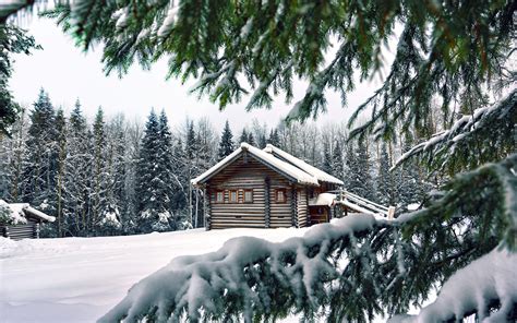 Snow Winter House Pine Needles Wallpaper [2560x1600]