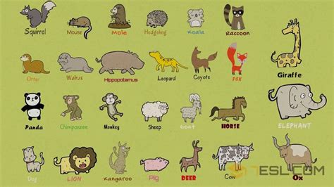 List of Mammals: Useful Mammal Names with Pictures • 7ESL | Mammals, Visual dictionary, Picture