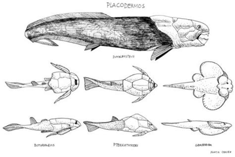 Блогът на valentint :: Encyclopedia Largest Prehistoric Animals Vol. 1 Vertebrates part12 Fishes ...