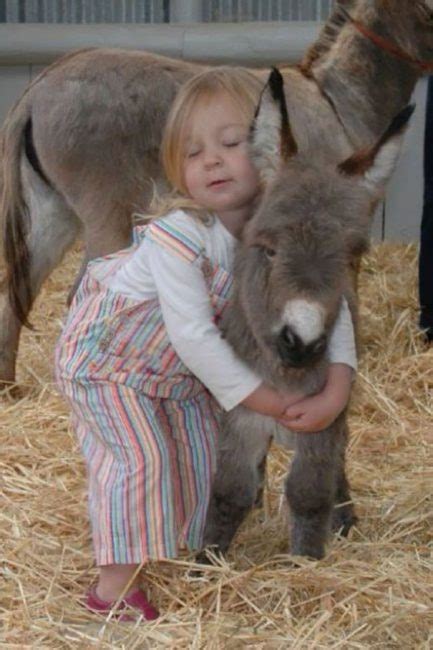 These Cute Baby Donkeys Will Make Your Day – Happiness Life