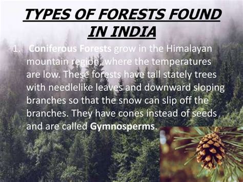 types of forest | PPT