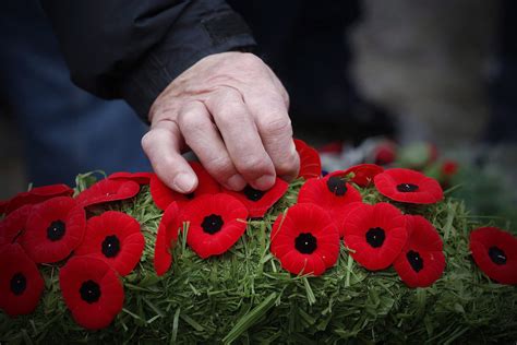 This year marks 100th anniversary of the poppy as a symbol of remembrance | CBC.ca