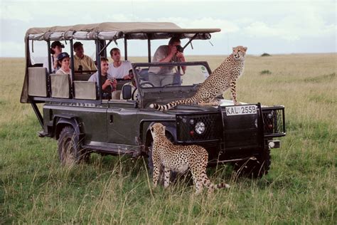 10 Days Kenya Safari | Kenya Wildlife Safaris | Focus East Africa Tours