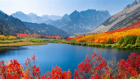 Autumn trees Wallpaper 4K, Lake, Mountain range, Daytime