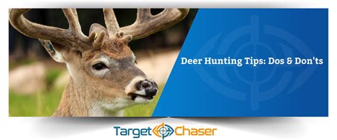 Deer Hunting Tips: Do's & Don'ts - Target Chaser