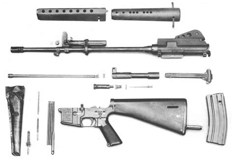 The Rise of the AR-15: A Brief History