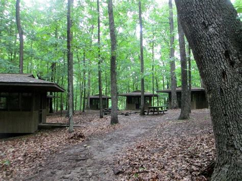 End of an era? Girl Scouts’ Camp Cedar Point facing closure | Local ...