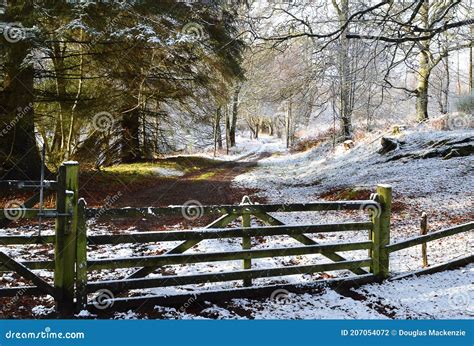 Scotland in Winter: Gate on Snow-covered Woodland Track in Perthshire Stock Photo - Image of ...