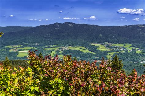 Free stock photo of away, Bavaria, bavarian forest