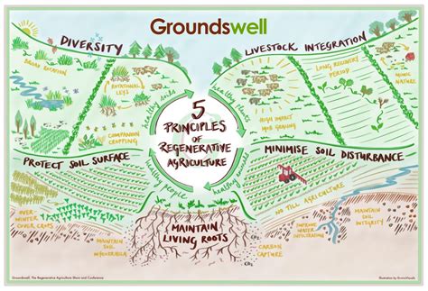 Principles of Regenerative Agriculture - Groundswell Groundswell