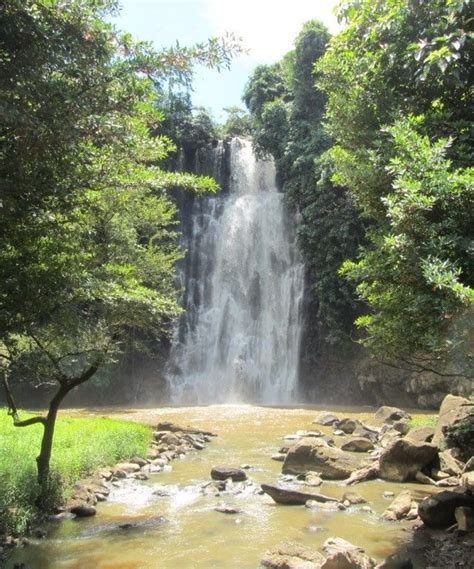 Guide to Da lat waterfalls | Waterfall, Vietnam holidays, Dalat