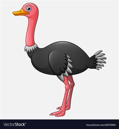 Cute ostrich cartoon white background Royalty Free Vector