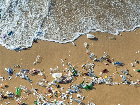 Ocean Pollution: Causes, Effects, Prevention | TDS