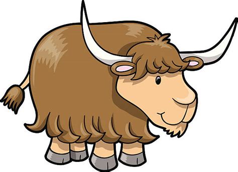 Top Yak Clip Art, Vector Graphics and Illustrations - iStock