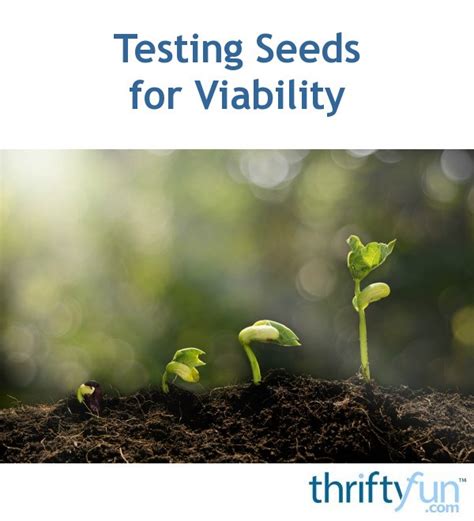 Testing Seeds for Viability | ThriftyFun