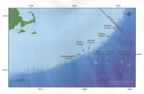 Save Seamounts from Underwater Mountain Top Mining | Ocean River Institute