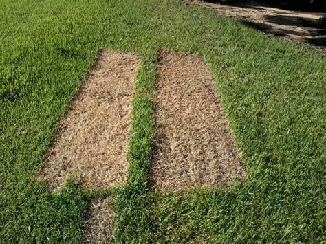 Weeds, microwaves, and better crops: Killing weeds without herbicides