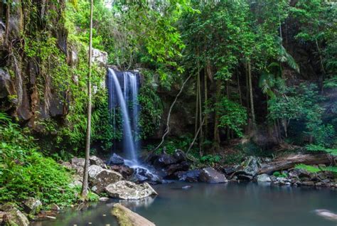 Stunning Waterfalls in the Gold Coast Hinterland | Australia Your Way