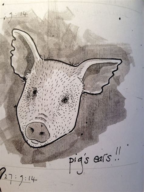 Pig's ear | Pig ears, Moose art, Drawings