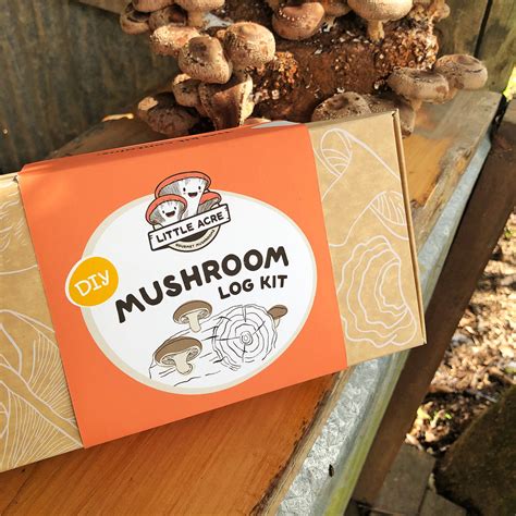 DIY Mushroom Log Kit - Outdoor Mushroom Growing | Little Acre