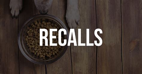 Recalling Dog Food Recalls: How and Why They Happened – Woof Whiskers