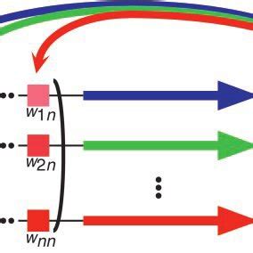 (PDF) Waddington's canalization revisited: Developmental stability and evolution