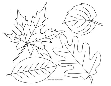 Leaf Coloring Pages For Preschool at GetColorings.com | Free printable ...