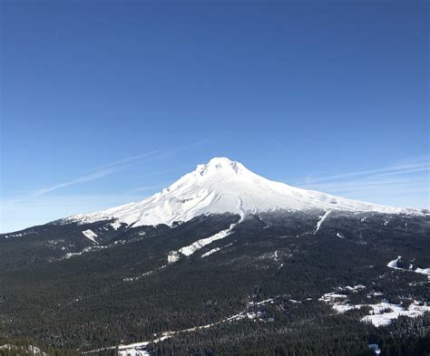 5 Amazing Hikes in Mount Hood National Forest - Just Be A Leaf