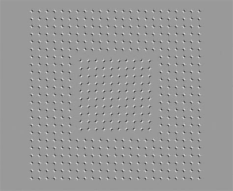 Illusions Animated GIF