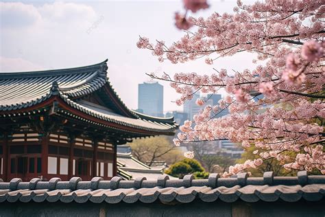 Korea S Seoul Tourist Spot Pajeon Gate Background, Architecture ...