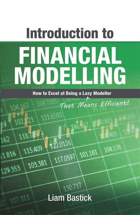 Introduction To Financial Modelling: How to Excel at Being a Lazy (That ...