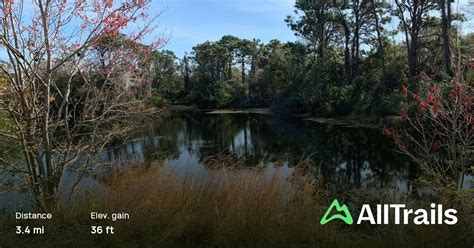 Walsingham Park Trail: 670 Reviews, Map - Florida | AllTrails