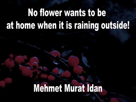 25-flower-quotes | Art, Music, Photography, Poetry and Quotations