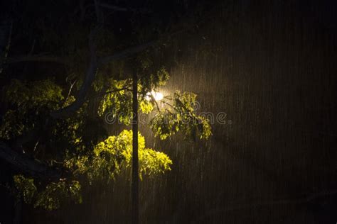 Heavy Rain during the Night Stock Photo - Image of night, asia: 103126664